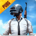 pubg国际服手游下载2.9版本改版下载