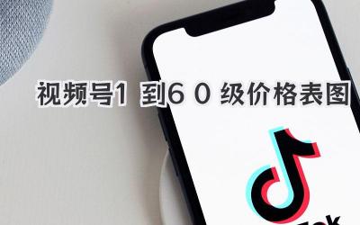 视频号1到60级价格表图