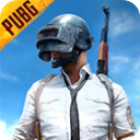 pubg国际服手游2024最新版全新官方网站