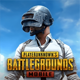 PUBG国际服正版下载入口单机安卓无需联网