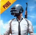 pubg国际服手游下载官方网站最新版app下载安装