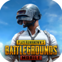 pubgmobile地铁逃生下载官方正版pc单机下载