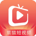 紫猫短视频安卓版下载电脑版网页
