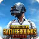 pubgmobile国际服手游下载官网版安卓版下载