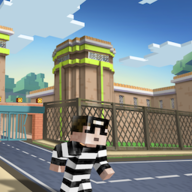 CopsNRobbers辅助app