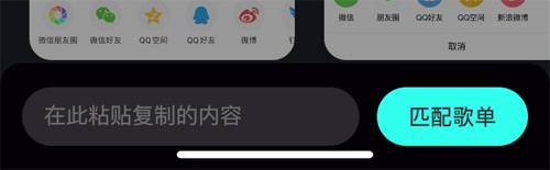 波点音乐正版