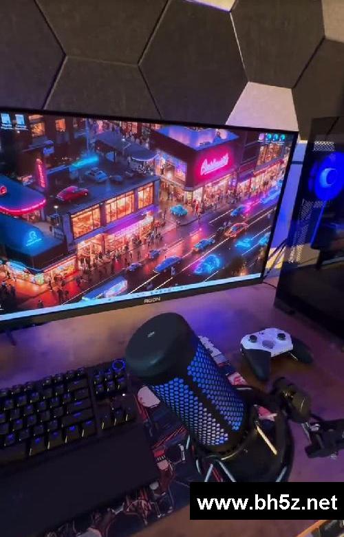 电脑游戏 PC gaming >>>