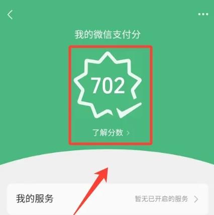 微信支付分怎样进行看