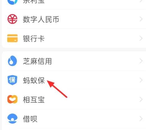 支付宝蚂蚁保险怎么退保关闭 支付宝关闭操作攻略