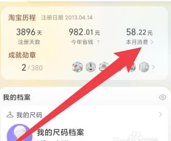 如何查淘宝一年消费金额