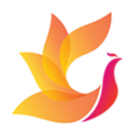 影视工场 app下载官方版