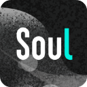 soul最新正版安卓平板版
