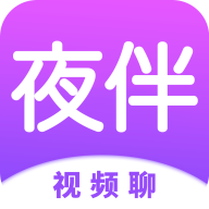 夜伴安装包下载