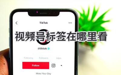 视频号标签在哪里看