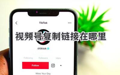视频号复制链接在哪里