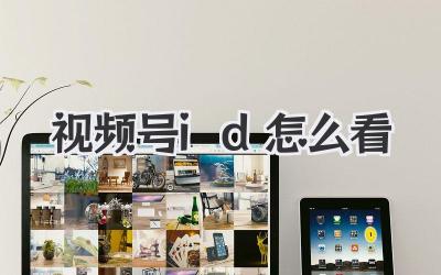 视频号id怎么看
