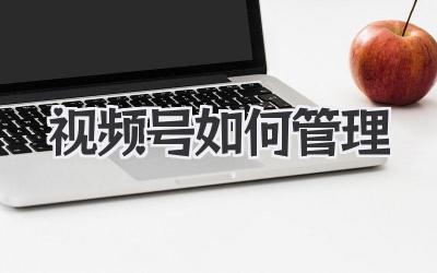 视频号如何管理
