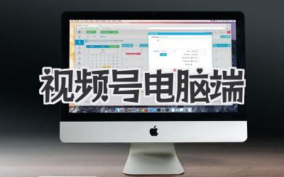 视频号电脑端