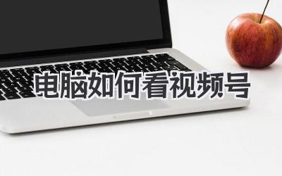电脑如何看视频号