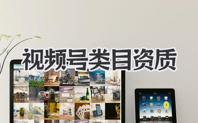 视频号类目资质