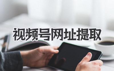 视频号网址提取