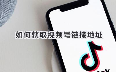 如何获取视频号链接地址