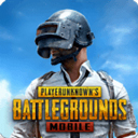 pubg地铁逃生官方国际版手游电脑版