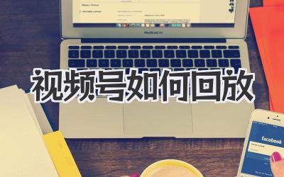 视频号如何回放