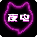 夜电最新版2020版下载安装