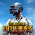 pubg体验服最新版本下载2024端游下载安装手机版