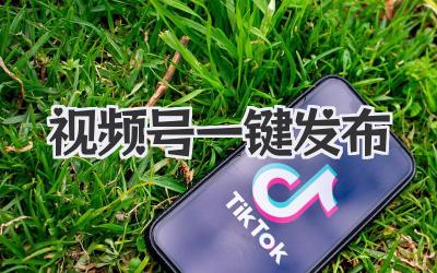 视频号一键发布