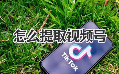 怎么提取视频号