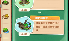 小森灵关卡挑战攻略大全