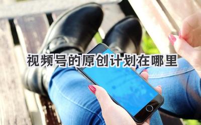 视频号的原创计划在哪里