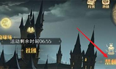 哈利波特魔法觉醒鸟蛇迷踪获得方法
