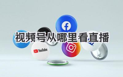 视频号从哪里看直播