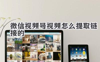 微信视频号视频怎么提取链接的