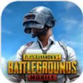 PUBGMobile国际服地铁逃生正版下载测试服安装
