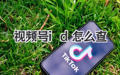 视频号id怎么查