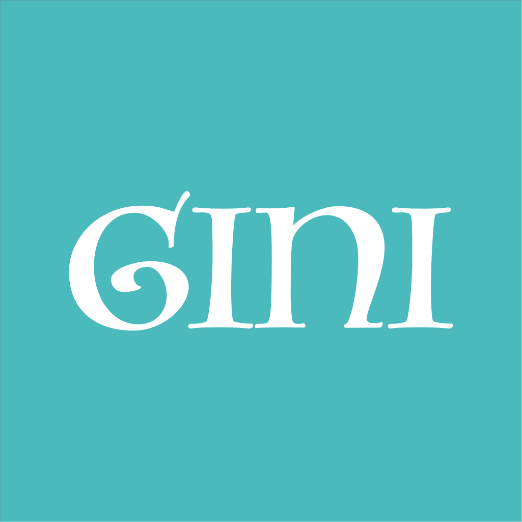 Gini2022旧版安装包
