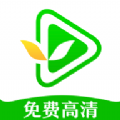 绿叶影视TV版pc网页版入口