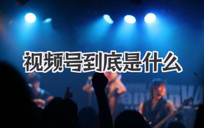 视频号到底是什么