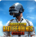 pubg国际服手游官方下载单机版试玩