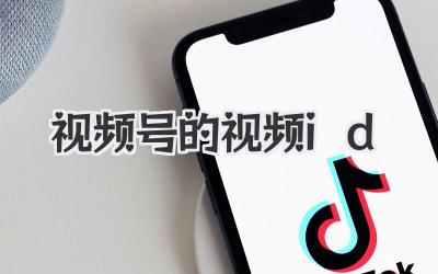 视频号的视频id