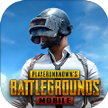 地铁逃生pubg国际服正版下载安装官网版复仇手机版下载安装