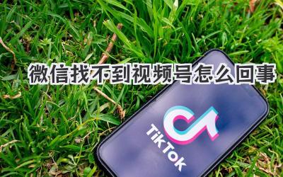 微信找不到视频号怎么回事