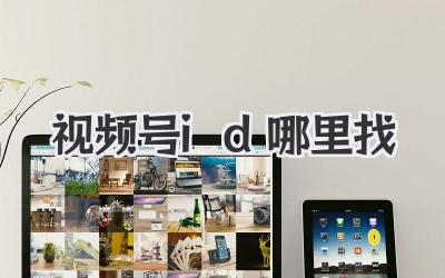 视频号id哪里找