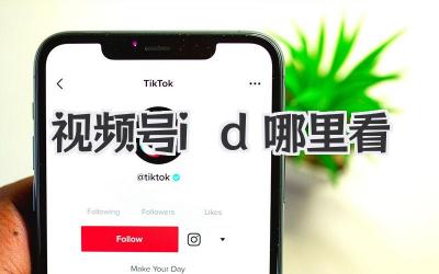 视频号id哪里看