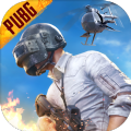 pubg地铁逃生下载安装端游下载安装手机版