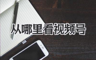 从哪里看视频号